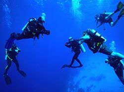 Oplev snorkling og dykning i Barcelona og Costa Brava, Spanien